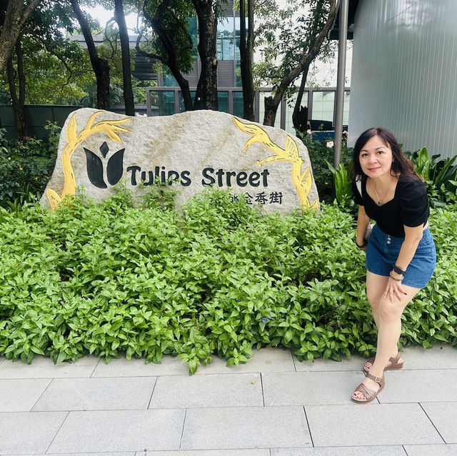 Dutch Flower Town in Shenzhen 💚 Ideal for plant lovers 🪴 