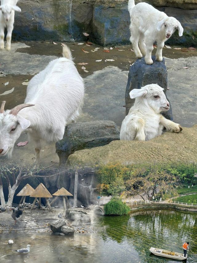 直達成都地鐵,塔子山公園,是個賞秋好去處。