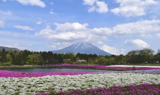 富山之約:邂逅日本北陸的自然與詩意。