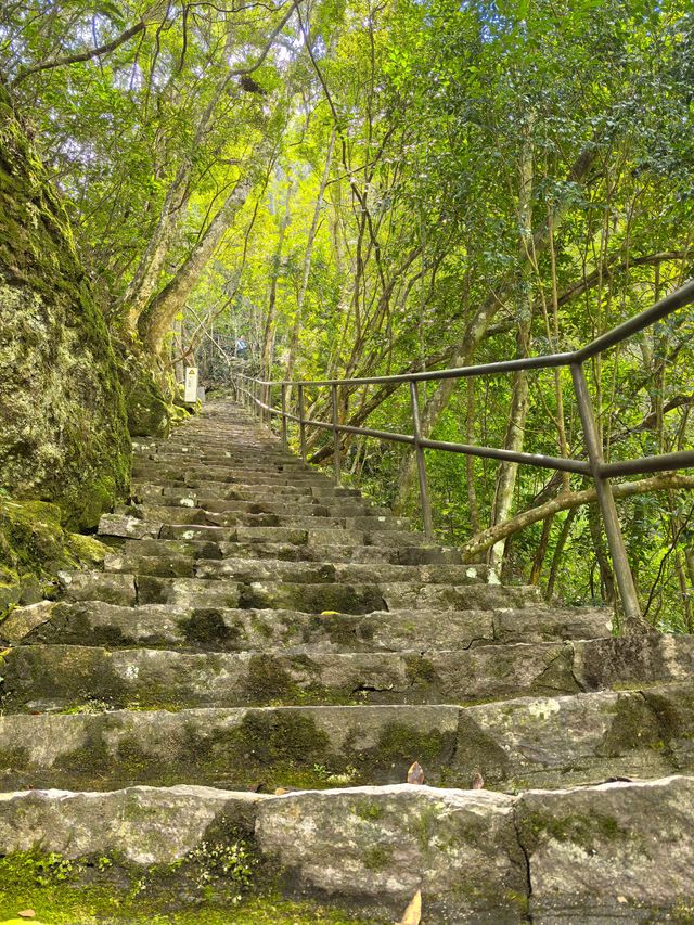 鴛鴦溪國家級風景名勝區位於屏南縣東北部,距離縣城30公里,處於屏南、周寧、政和三縣交界。總面積78.8平方公里。