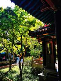 趵突勝境,堪比仙境!。