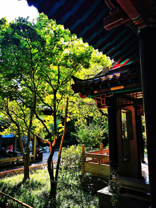 趵突勝境,堪比仙境!。 趵突勝境,堪比仙境!。