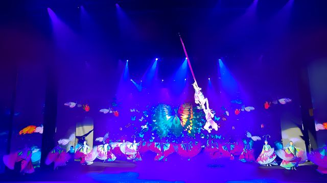 杭州最美表演。