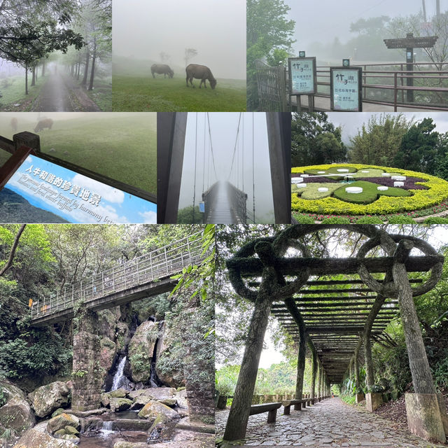 台北陽明山一日遊與台北旅行吃吃喝喝分享記🙌🏻