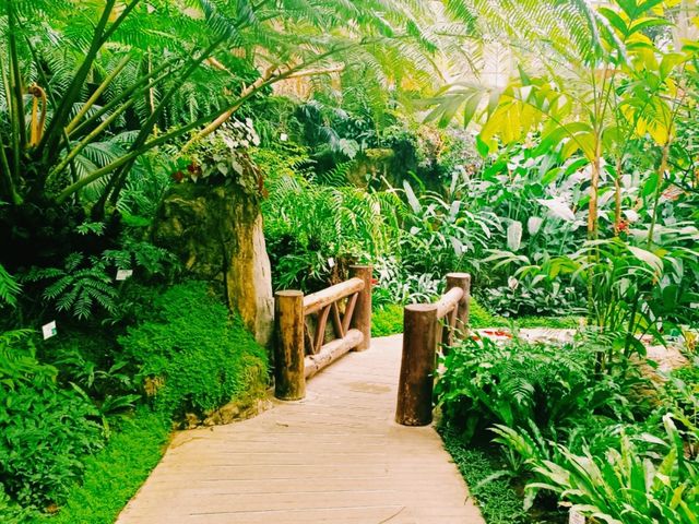The Forsgate Conservatory: Remarkable Plant Representation