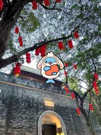 廣州越秀公園|城市靈魂的安逸。
