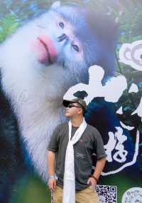 雲南旅行｜在維西，尋訪比大熊貓還稀少的滇金絲猴。