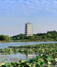 西安免費寶藏公園｜世博園。