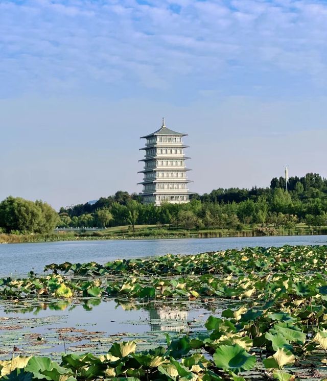 西安免費寶藏公園｜世博園。