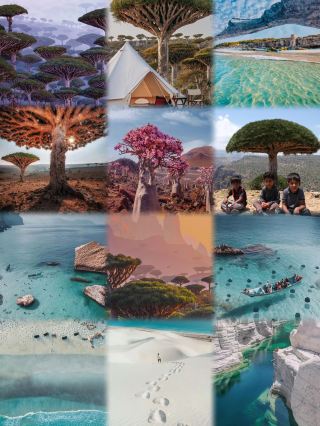 Discover the Most Alien-Like Place on Earth｜It's So Surreal.