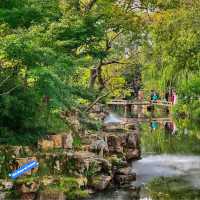 Exploring Suzhou's Treasures: Humble Administrator's and Lingering Gardens 