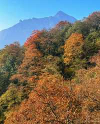 五彩秋景——梵淨山。