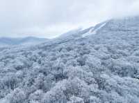 北大湖滑雪度假區 冰雪盛宴高山霧凇。