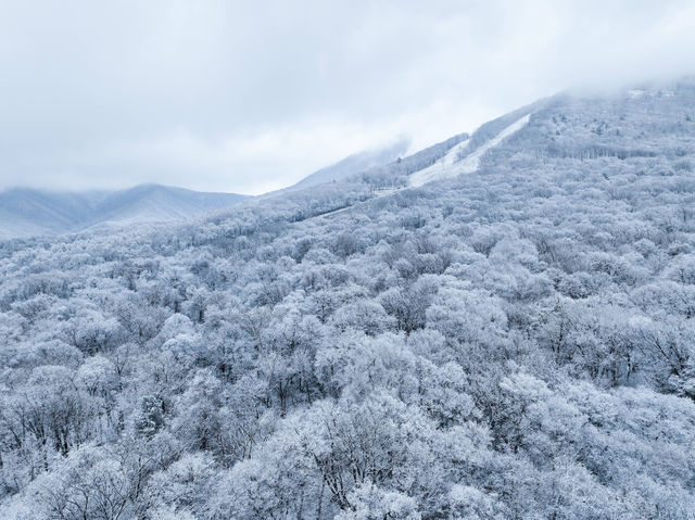 北大湖滑雪度假區 冰雪盛宴高山霧凇。