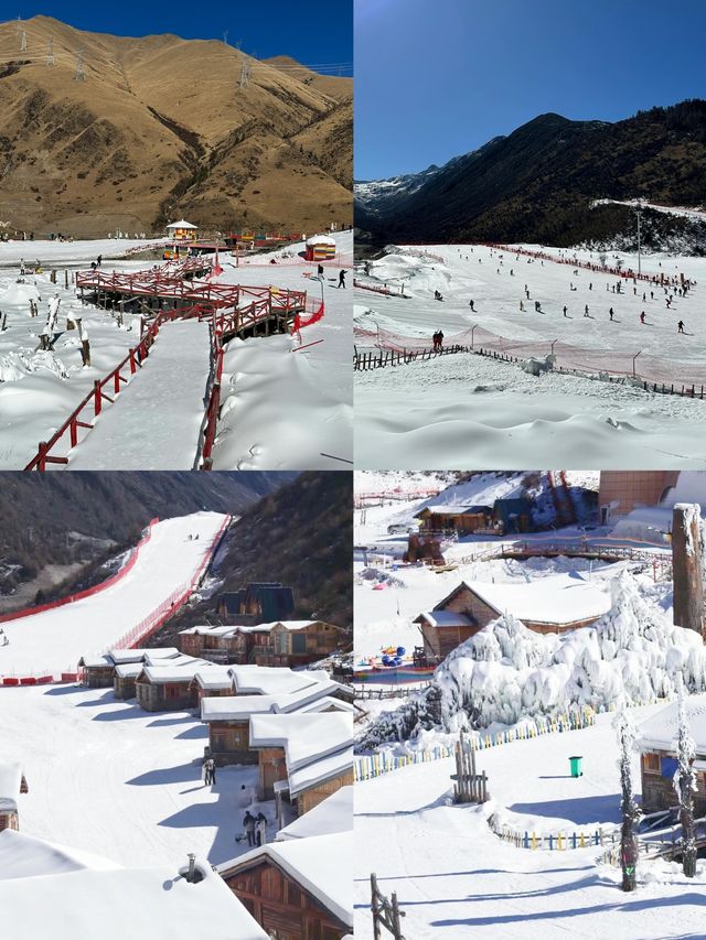 live photo|這裡不是瑞士！這是川西鹧鸪山！。
