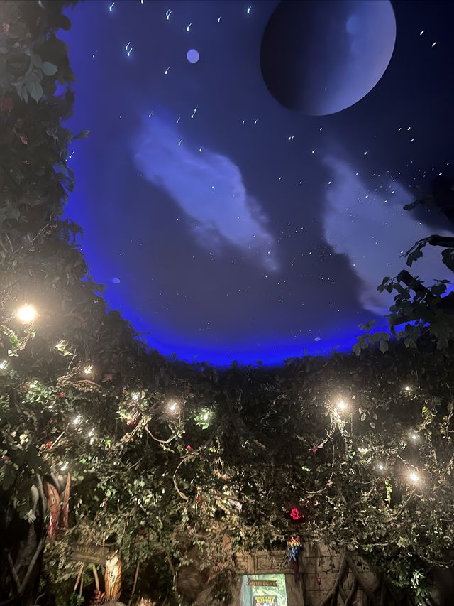 美國熱帶雨林餐廳你打卡過嗎