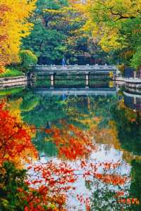 在上海市區的賞秋地圖當中，這是一個頗為冷門的小公園。