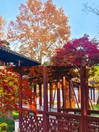 弇山園