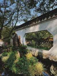 南岸秘密花園——重慶南山植物園