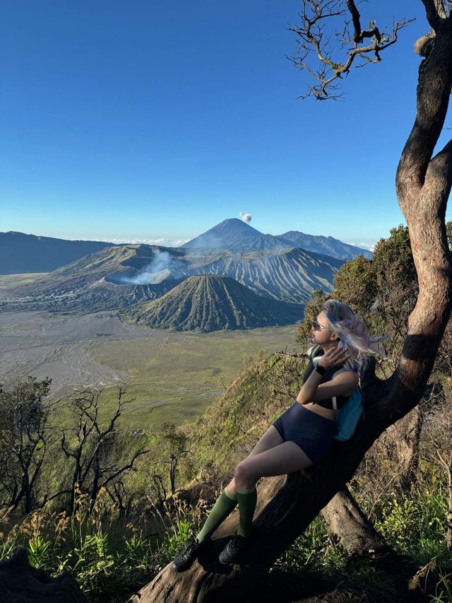 無敵特種兵的充實旅行