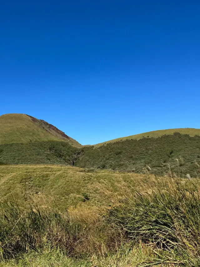황금연휴 일본 7일 필수 여행 코스