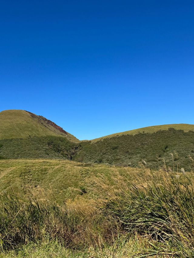 小長假神仙玩法日本7日人生必遊之旅