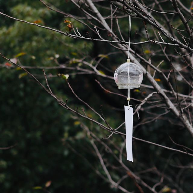 周末微旅行好去處～金華蘭溪