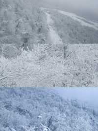絕美雪景不能不去成都！西嶺雪山！最近真的有雪