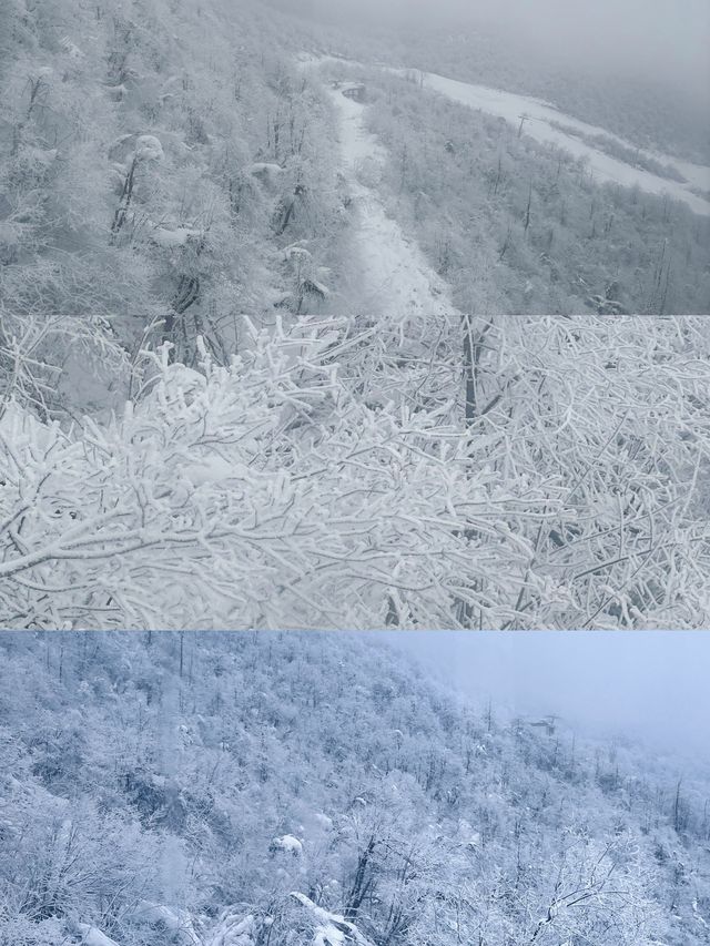 絕美雪景不能不去成都！西嶺雪山！最近真的有雪