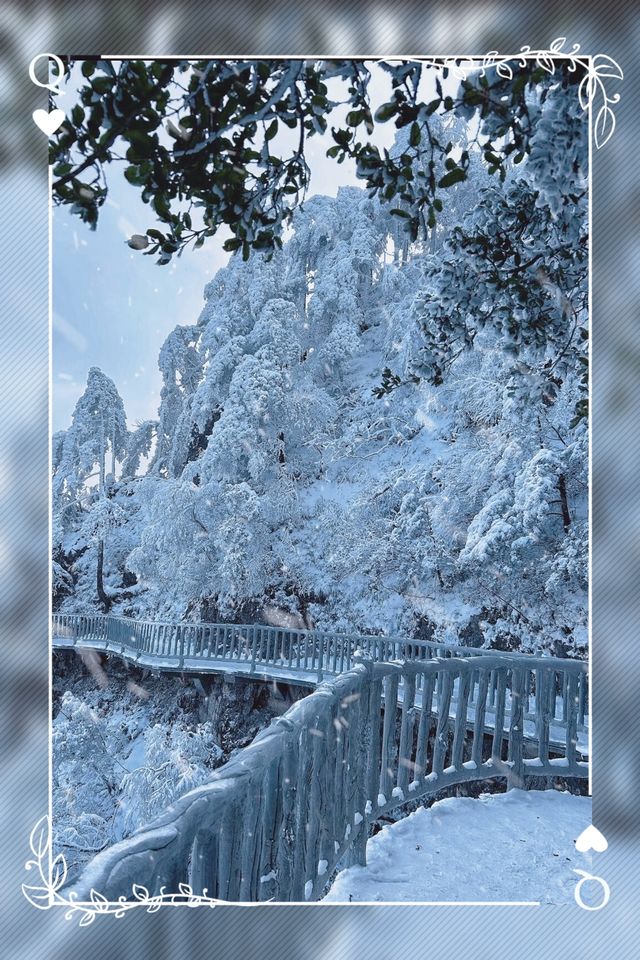 年年落雪 落雪年年光霧山