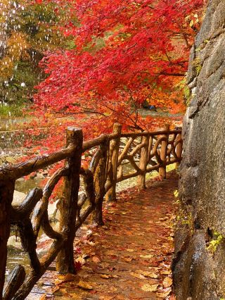 Anshan, Liaoning | Longtan Bay: See the Colors of Winter