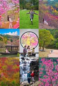 廣東度假遊｜七溪地吃住玩全攻略