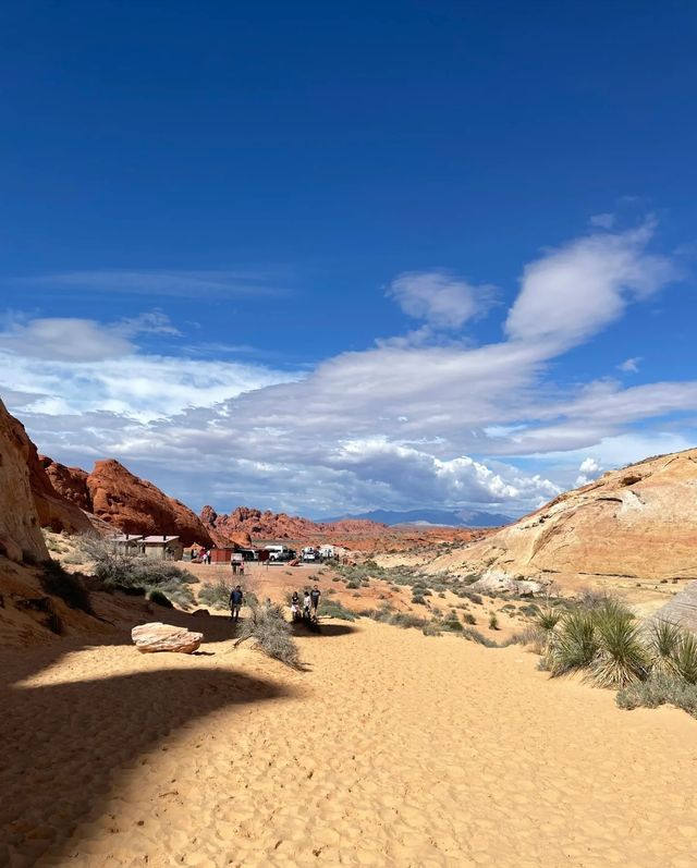 來las vegas必去嘅公園Valley of Fire