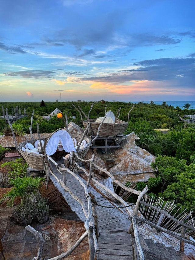 為了這家鳥巢餐廳專門飛了一趟Tulum…