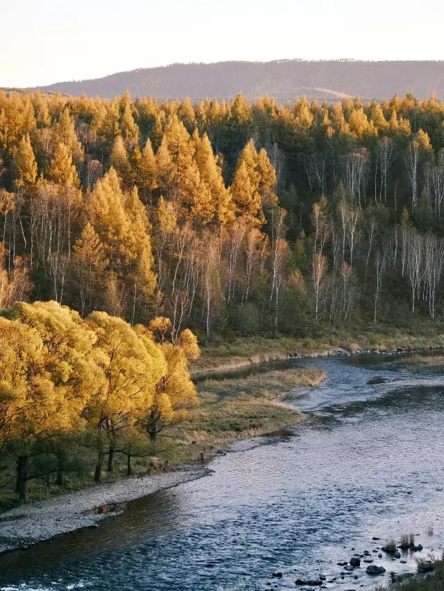 Hulunbuir and Other Popular Destinations for Seniors: A Must-Read for Parents