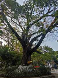 桂平中山公園