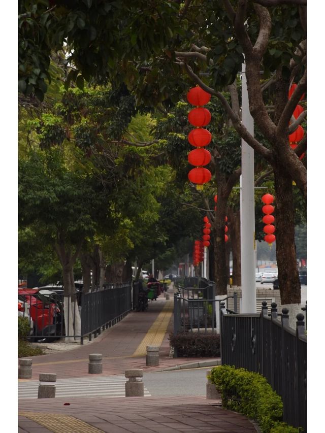 好懷念湖邊水庫龍年年味……