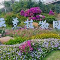 打卡廣州雲蘿植物園