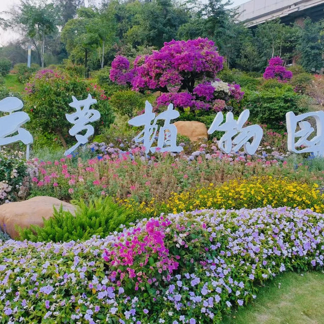 打卡廣州雲蘿植物園