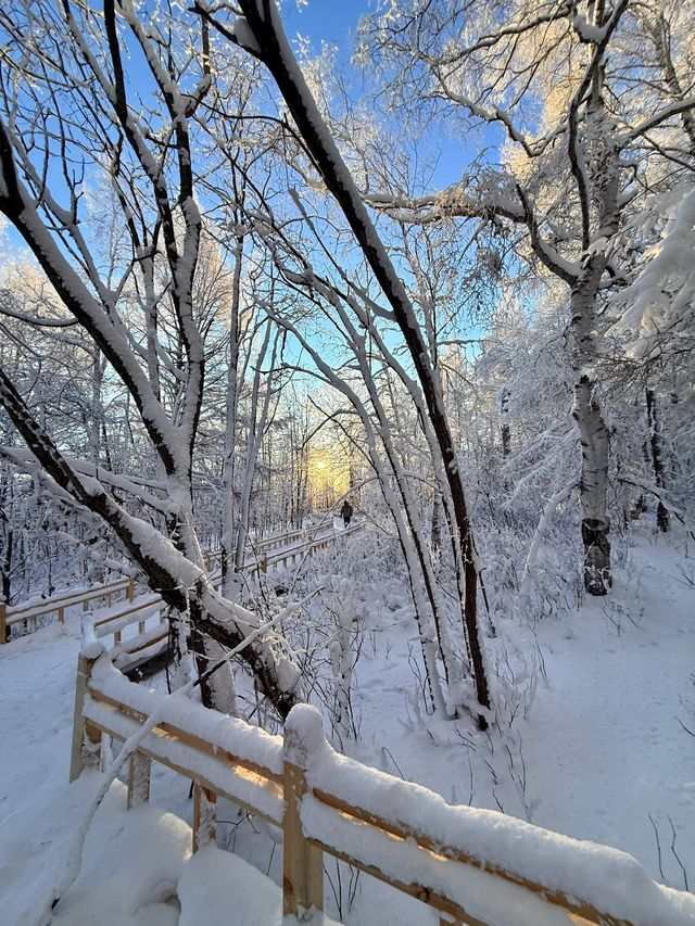 哈爾濱-雪鄉-延吉｜真溫泉度假全攻略別錯過