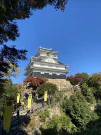 日本岐阜城 登高望遠