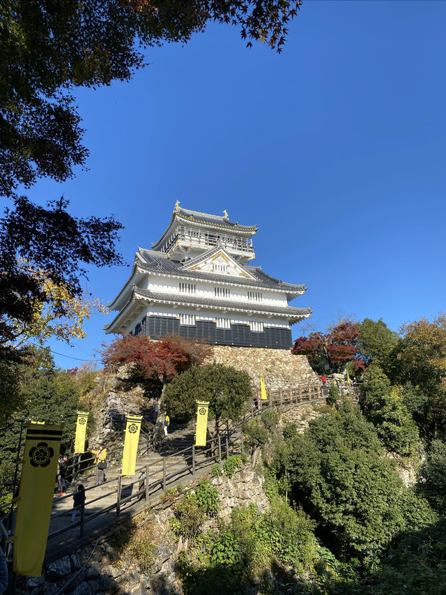 日本岐阜城 登高望遠