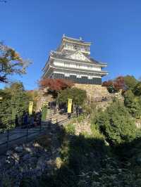 日本岐阜城 登高望遠