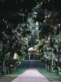 Discover the Ancient City of Kandy in Sri Lanka
