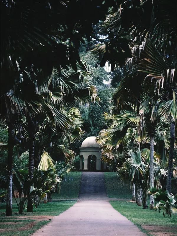 Discover the Ancient City of Kandy in Sri Lanka