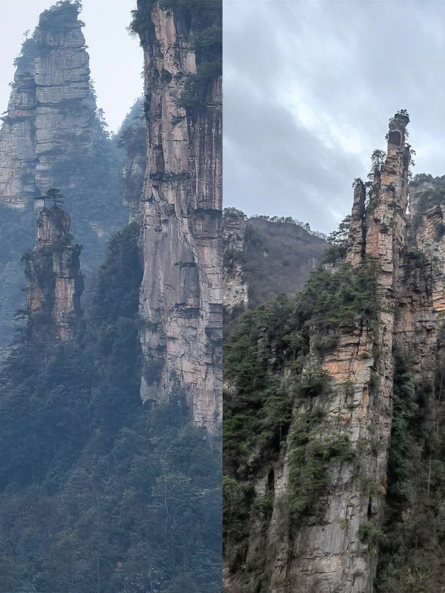 春節5日遊張家界 美景不打烊 春節5日遊張家界 美景不打烊