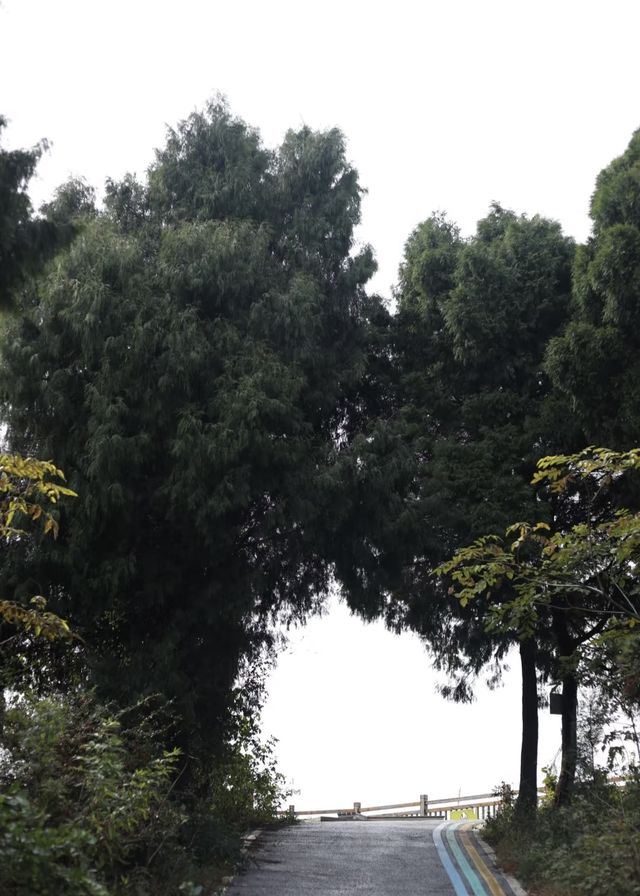 我推薦成都這條絕美的山頂觀景步道