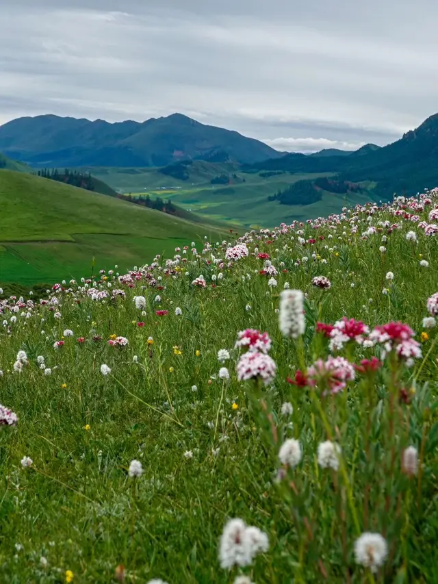 설날에 칭하이 호-시닝-차카 염호 여행 완벽 가이드