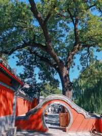 萬壽寺｜京西的靜謐與輝煌