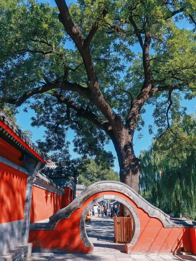 萬壽寺｜京西的靜謐與輝煌